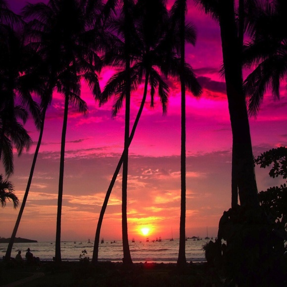 Meet your Posher, James - Picture 1 of 1